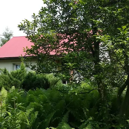 Ferienhaus Domek Na Przysiolku *