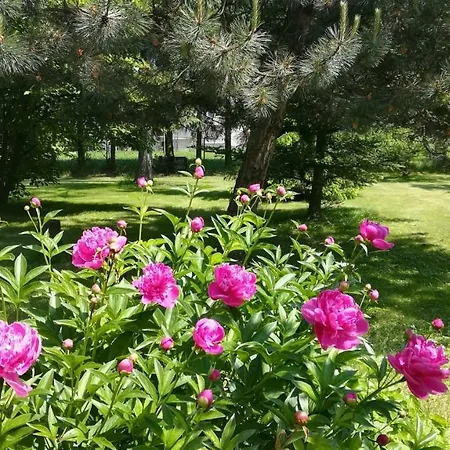 Domek Na Przysiolku Iwanowice